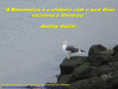 /album/galeria-de-fotos/aprende-matematica-gif/